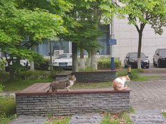 -上海海事大学(临港校区)