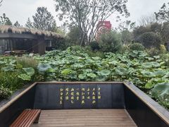 -东平国家森林公园