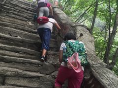 -北京上方山国家森林公园