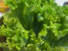 -杨记齐齐哈尔烤肉(总店)