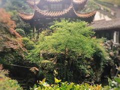 -杭州黄龙洞