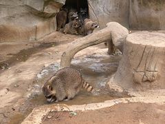 -杭州野生动物世界