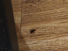 -花居轻奢酒店(苏州观前拙政园店)