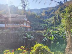 -西双版纳原始森林公园