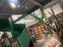 -绿壁虎攀岩基地(Tcar店)
