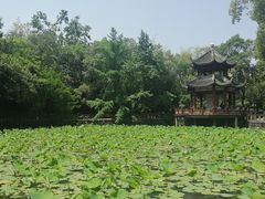 -房湖公园