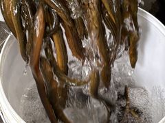 -铜元老码头鳝鱼火锅