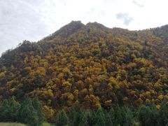 -互助北山国家地质公园漂流