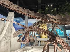 -国家自然博物馆