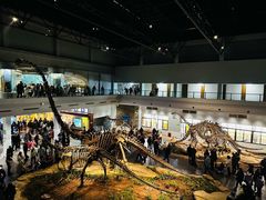 -自贡恐龙博物馆