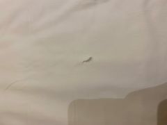 -漳浦金仕顿大酒店