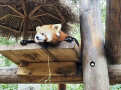 -北京野生动物园