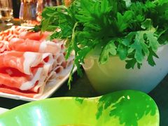茼蒿-索伦嘎·传统涮(海拉尔总店)