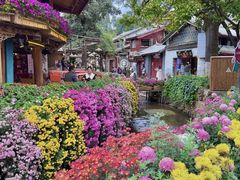 -小喜客·云南特色菜(纳西庭院店)