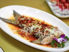 -龙口南山旅游景区