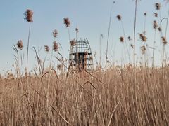 -永定河休闲森林公园