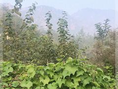 -紫荆关