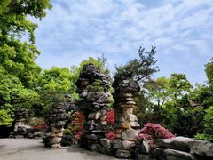 -南山植物园