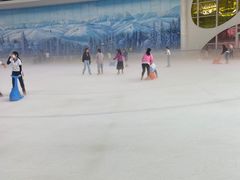 -世界之窗阿尔卑斯冰雪世界