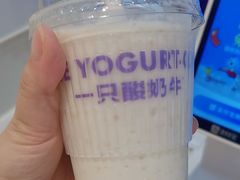 -一只酸奶牛(时代天街A馆店)