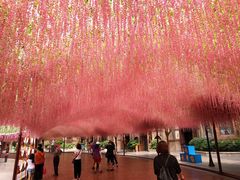 -郑州方特梦幻王国