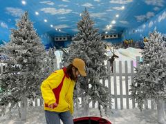 -世界之窗阿尔卑斯冰雪世界