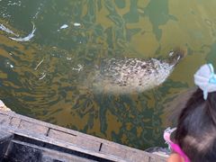 -华夏文旅海洋公园