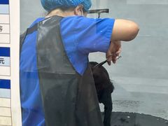 -宠福鑫康馨动物医院·骨科·眼科