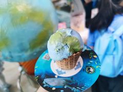 -抱抱地球咖啡馆(国家海洋博物馆店)