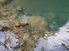 -浙北大峡谷