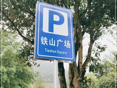 -铁山坪森林公园