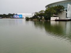 -深圳湾公园(南山区)