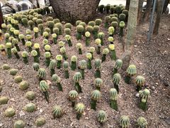 -南山植物园