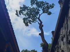 -金堂县云顶石城风景区