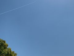 -尚贤河湿地
