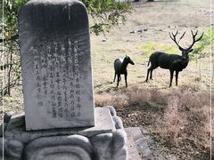 -北京麋鹿生态实验中心