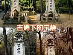 -灵谷景区