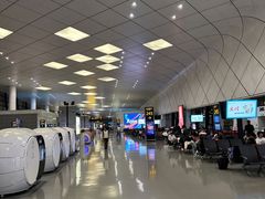 -郑州新郑国际机场-T2航站楼