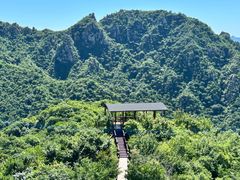 -大岭沟猕猴桃谷风景区