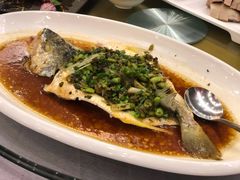 雪菜蒸黃魚-银都上海菜馆(粤海东路店)