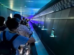 -白鹤梁水下博物馆