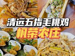 -帆荣农庄