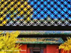 -大觉寺-停车场