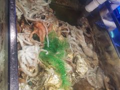 -V-ONE西雅图海鲜自助餐厅(仓山万达广场店)