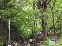 -大岭沟猕猴桃谷风景区