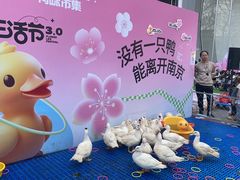 -金茂览秀城