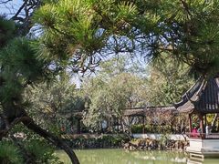 -上海醉白池公园