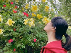 -小仙居·农家宴烤羊· 农庄