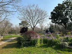 -上海海湾国家森林公园