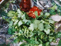 -攀枝花·任德琼·盐边羊肉米线